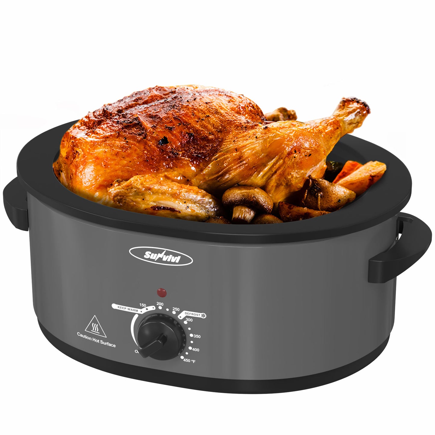 Roaster Oven with Self-Basting Lid, 20 Quart Electric Roaster with Removable Pan & Rack, 150-450°F Full-Range Temperature Control with Defrost/Warm Function, Stainless Steel, Silver