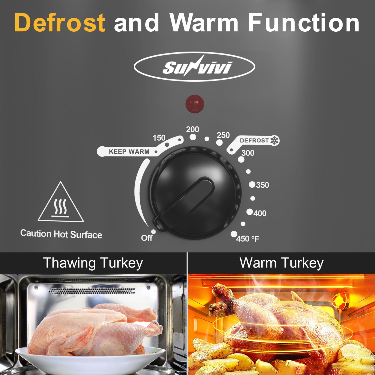 Roaster Oven with Self-Basting Lid, 20 Quart Electric Roaster with Removable Pan & Rack, 150-450°F Full-Range Temperature Control with Defrost/Warm Function, Stainless Steel, Silver