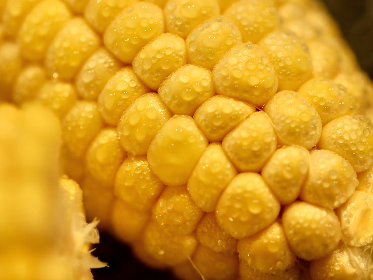 Steamed Corn