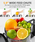 Sunvivi Cold Press Juicer with 5.9?¡¥?¡¥ Wide Feed Chute 250W Slow Juicer Machines Fit Whole Vegetables & Fruits - Single