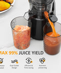 Sunvivi Cold Press Juicer with 5.9?¡¥?¡¥ Wide Feed Chute 250W Slow Juicer Machines Fit Whole Vegetables & Fruits - Single