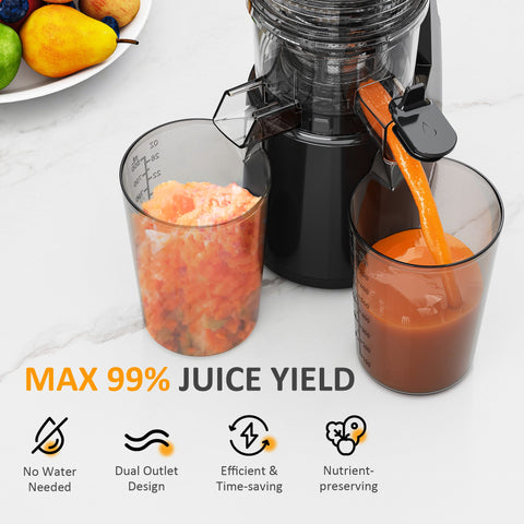 Sunvivi Cold Press Juicer with 5.9?¡¥?¡¥ Wide Feed Chute 250W Slow Juicer Machines Fit Whole Vegetables & Fruits - Single