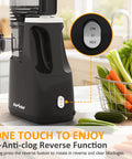 Sunvivi Cold Press Juicer with 5.9?¡¥?¡¥ Wide Feed Chute 250W Slow Juicer Machines Fit Whole Vegetables & Fruits - Single