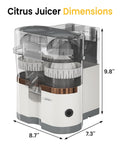 Sunvivi Dual-Head Electric Citrus Juicer Plug-inModel Juicer Machine with Cleaning Brush Portable Lemon Squeezer