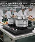 Sunvivi Portable Dual Induction Cooktop Commercial-Grade Electric Countertop Burner with Timer Induction Hot Plate